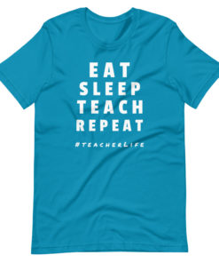Eat, Sleet, Teach, Repeat